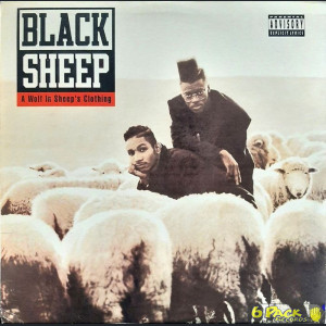 BLACK SHEEP - A WOLF IN SHEEP'S CLOTHING