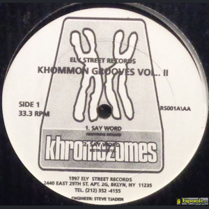 KHROMOZOMES - KHOMMON GROOVES VOLUME II