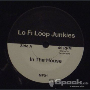LO FI LOOP JUNKIES - IN THE HOUSE