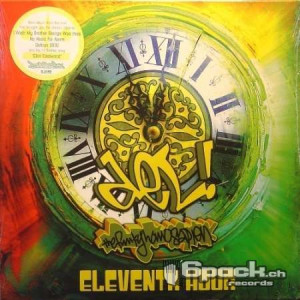DEL THE FUNKY HOMOSAPIEN - ELEVENTH HOUR
