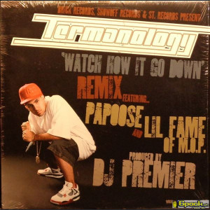 TERMANOLOGY - WATCH HOW IT GO DOWN (REMIX)