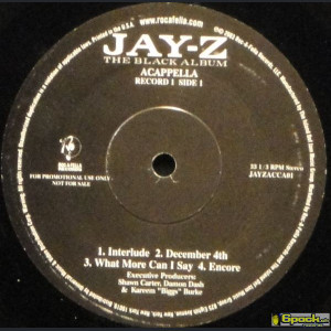 JAY-Z - THE BLACK ALBUM (ACAPPELLA)