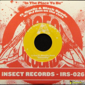 I CED - INSANITY / IN THE PLACE TO BE (BLUE VINYL)
