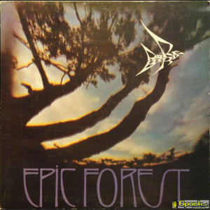 RARE BIRD - EPIC FOREST