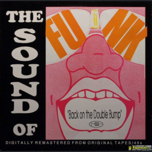 VARIOUS - THE SOUND OF FUNK VOLUME 2