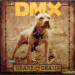 DMX - GRAND CHAMP