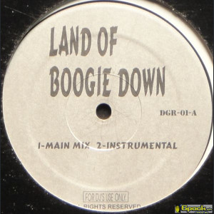 KRS-ONE - LAND OF BOOGIE DOWN / SATISFACTION