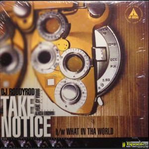 RODDY ROD - TAKE NOTICE / WHAT IN THA WORLD