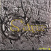 SNIPER - GRAVÉ DANS LA ROCHE