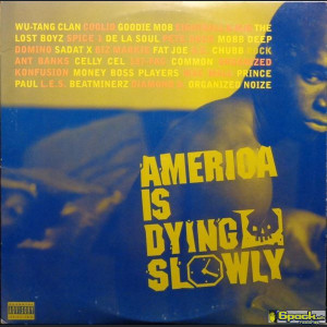 VARIOUS - AMERICA IS DYING SLOWLY