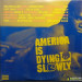 VARIOUS - AMERICA IS DYING SLOWLY