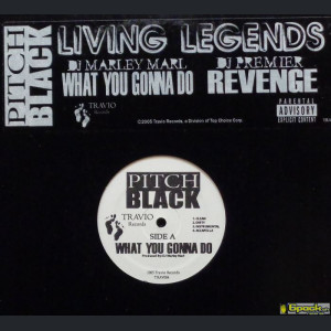 PITCH BLACK  - WHAT YOU GONNA DO / REVENGE