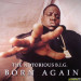 THE NOTORIOUS B.I.G. - BORN AGAIN (re)