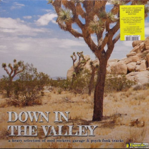 VARIOUS - DOWN IN THE VALLEY VOL. 1