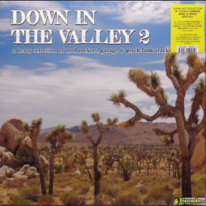VARIOUS - DOWN IN THE VALLEY VOL. 2