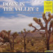 VARIOUS - DOWN IN THE VALLEY VOL. 2