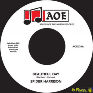 SPIDER HARRISON - BEAUTIFUL DAY