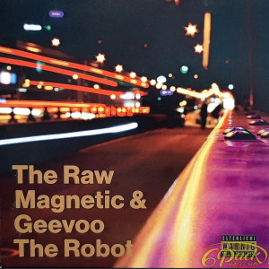 THE RAW MAGNETIC - WILLKOMME IN ZUREICH
