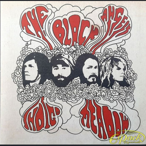 THE BLACK ANGELS - INDIGO MEADOW